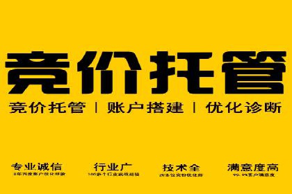 SEM推广代运营公司助力中小企业快速发展